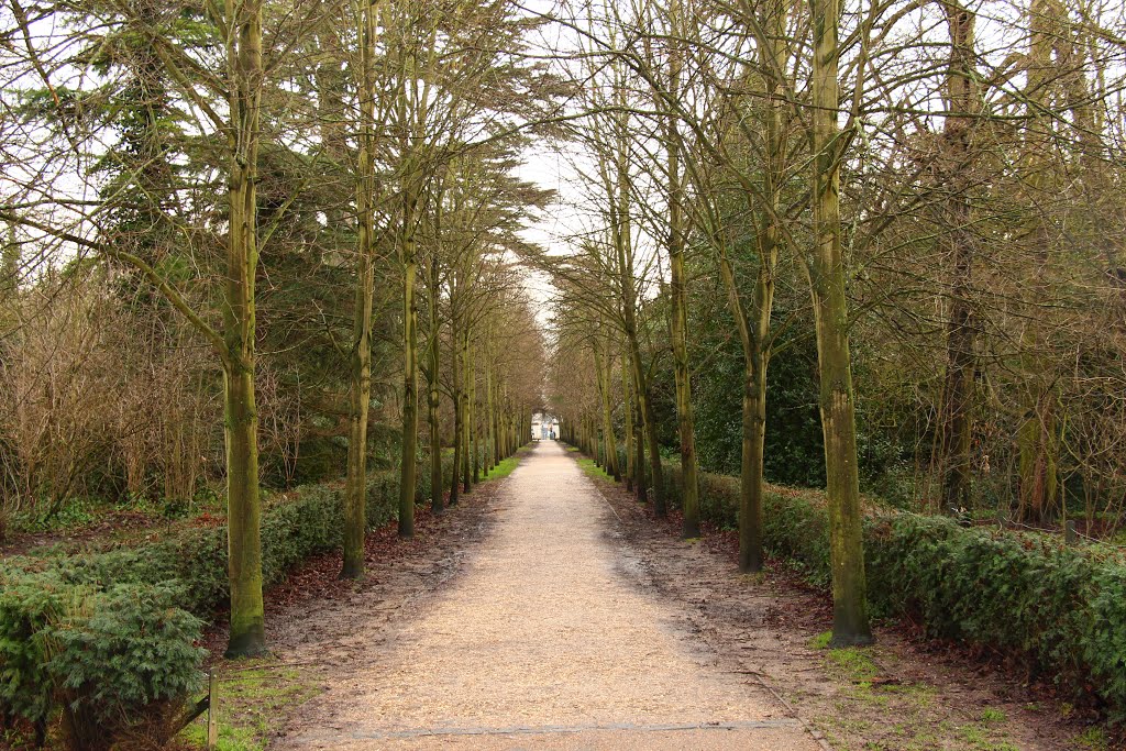 LB - Inner pedestrian avenue in Chiswick Gardens by Boettner