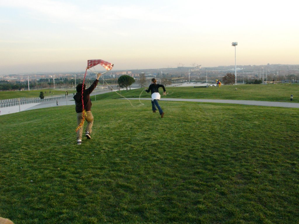 Cometas en el Parque by joyquintas