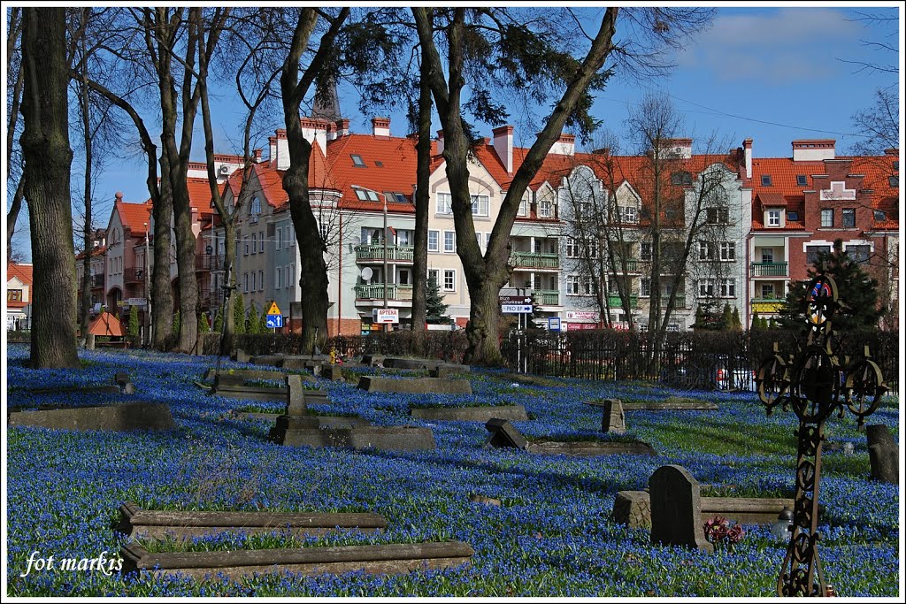 Stary cmentarz katolicki w centrum Ostródy. by Marek Kisielewski