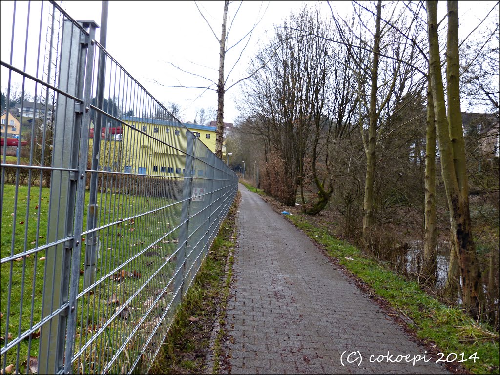 Am Freibad Landsweiler-Reden by co-koe