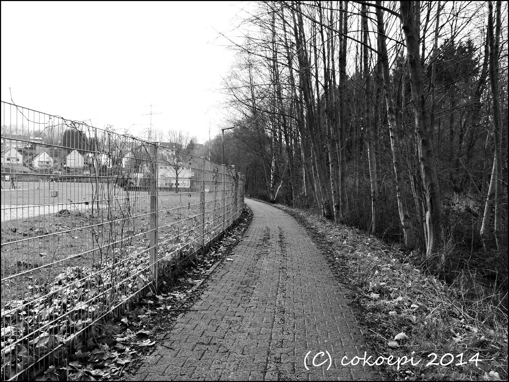 Am Freibad Landsweiler-Reden by co-koe