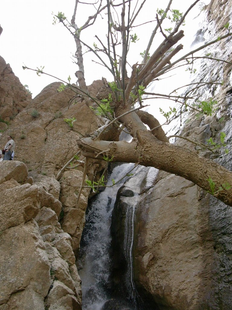 آبشار پير غار ده چشمه -Pir-e-ghar waterfall-2 by Mahmood-Safavi