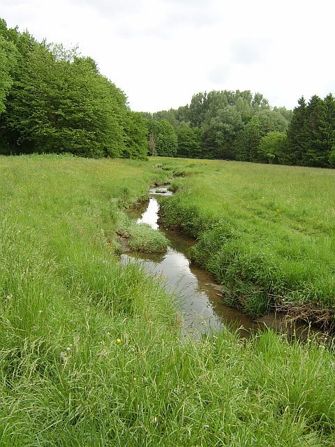 Schlosshofbach, renaturiert in Sudbrack by codero