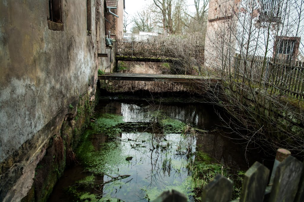 Alter Mühlengraben der Limbacher Mühle by Otmar B