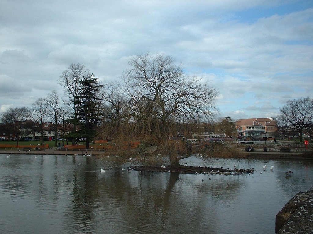 Stratford-Upon-Avon (United Kingdom) by Pedro Veiga