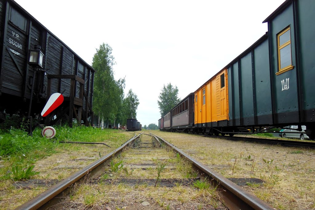 Old trains at Minkiö station by Petteri Kantokari