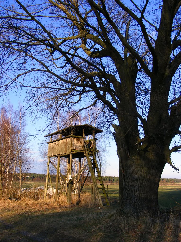 Staupitz, Niederlausitz 03238, Germany, Der Kranichbeobachtungsstand an der L62 by velthurvik