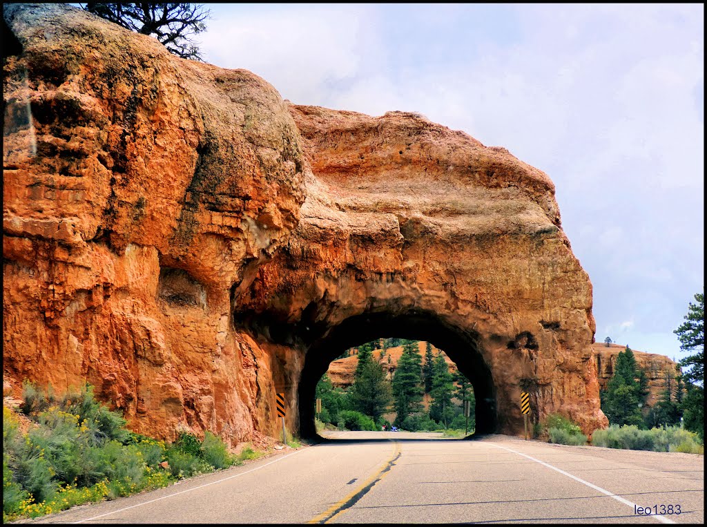 Red Canyon,Dixie N.F on the road 12 Utah . © by leo1383 by leo1383