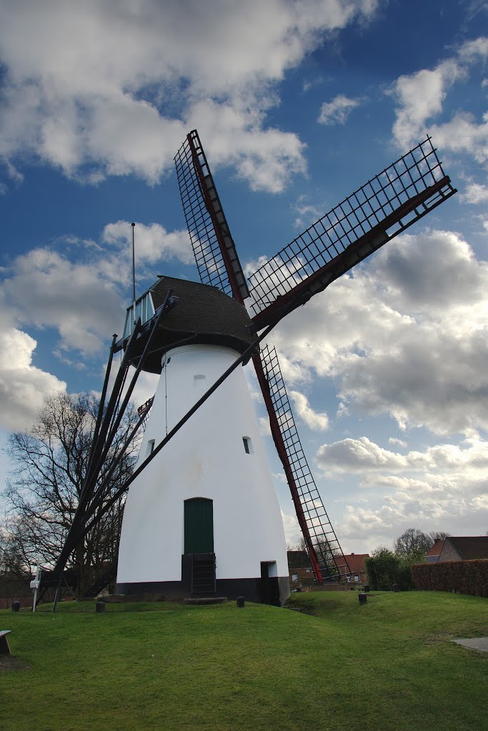 Mol-Ezaart, Molen van Ezaart by Ronny Daems