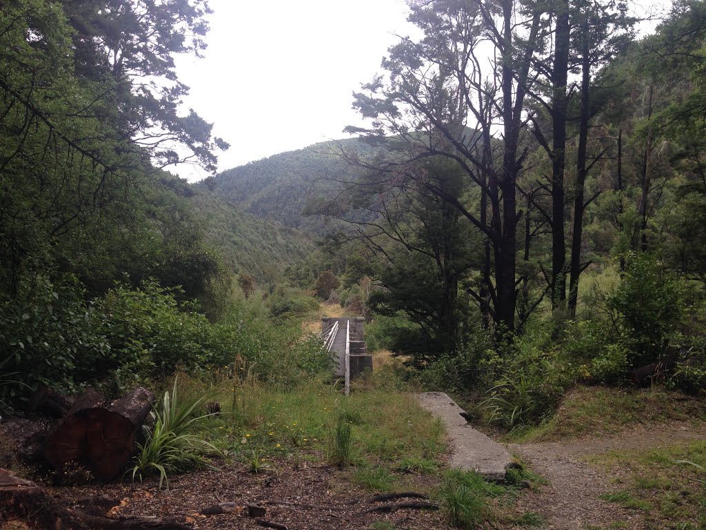 Old Railway Walkway At Kawatiri by Steve Busson