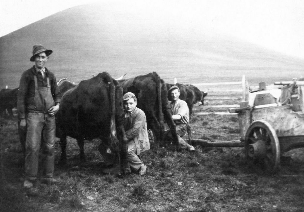 Montgreleix temps anciens : la traite manuelle by mfe