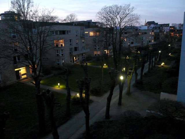 Fontenay-Allee at dusk by ariesuser