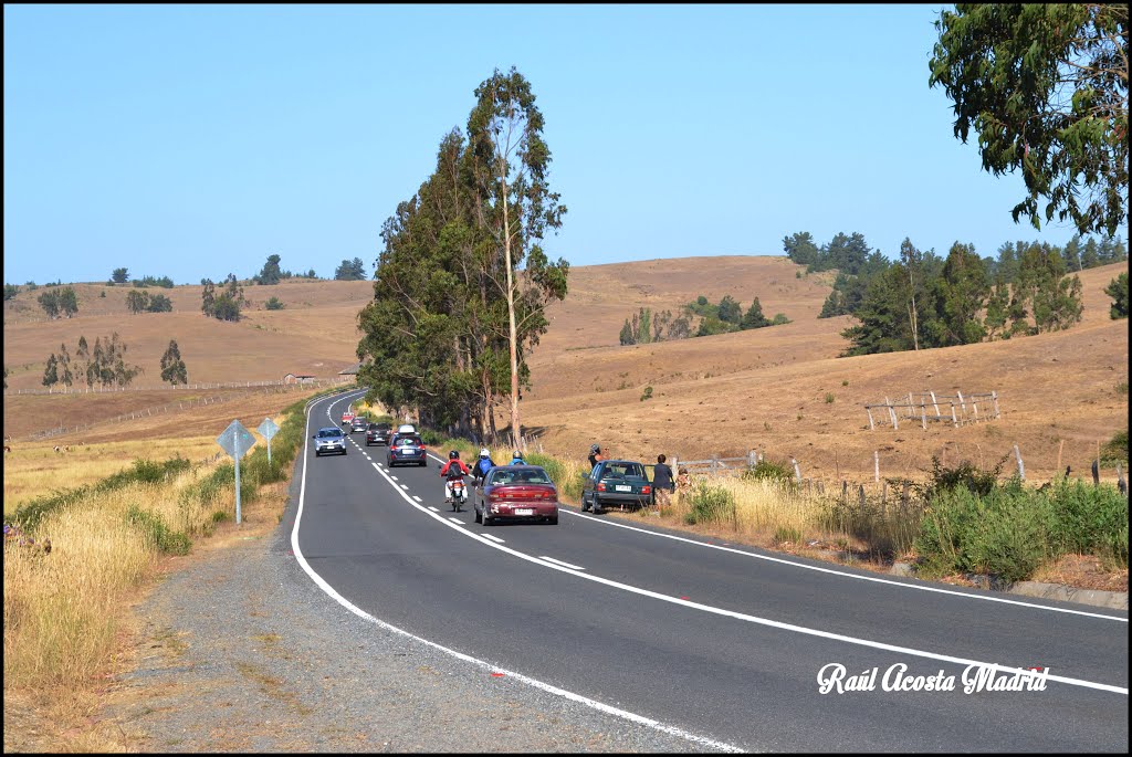 ► Camino a Paredones ® by ►DisfrutaChile ®