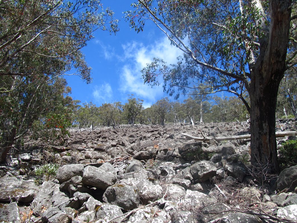 Rock Scree on Hunters Track by Lucas Chamberlain