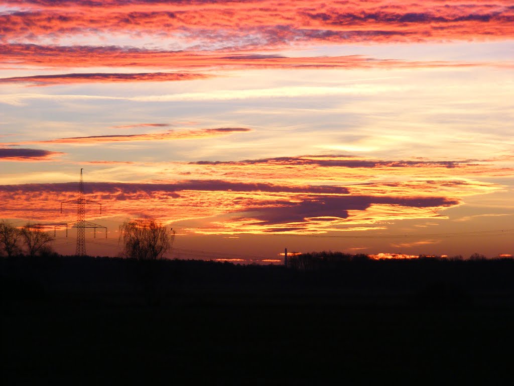 Göllnitz, 03205 Gemeinde Sallgast, Niederlausitz, Germany. Sonnenaufgang über dem Lug by velthurvik