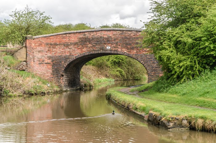 Site of Newdigate Colliery Arm by hilofoz