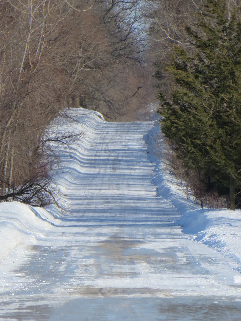 Completely ice-covered hill on Pake Road by UnagiUnagi