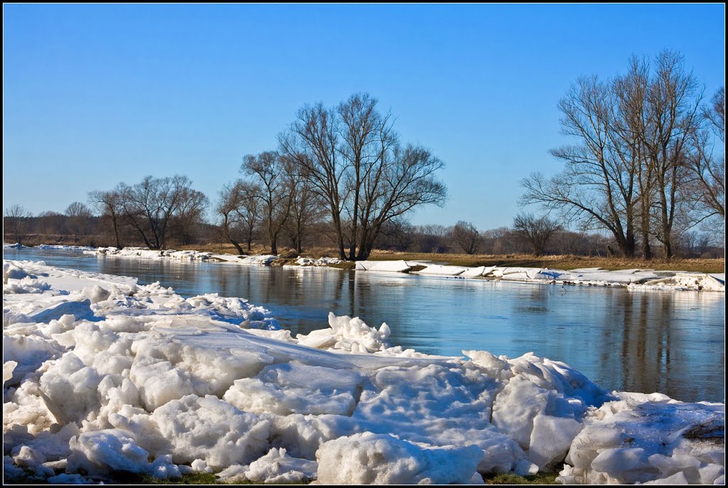 Warta river. by edw@rd04