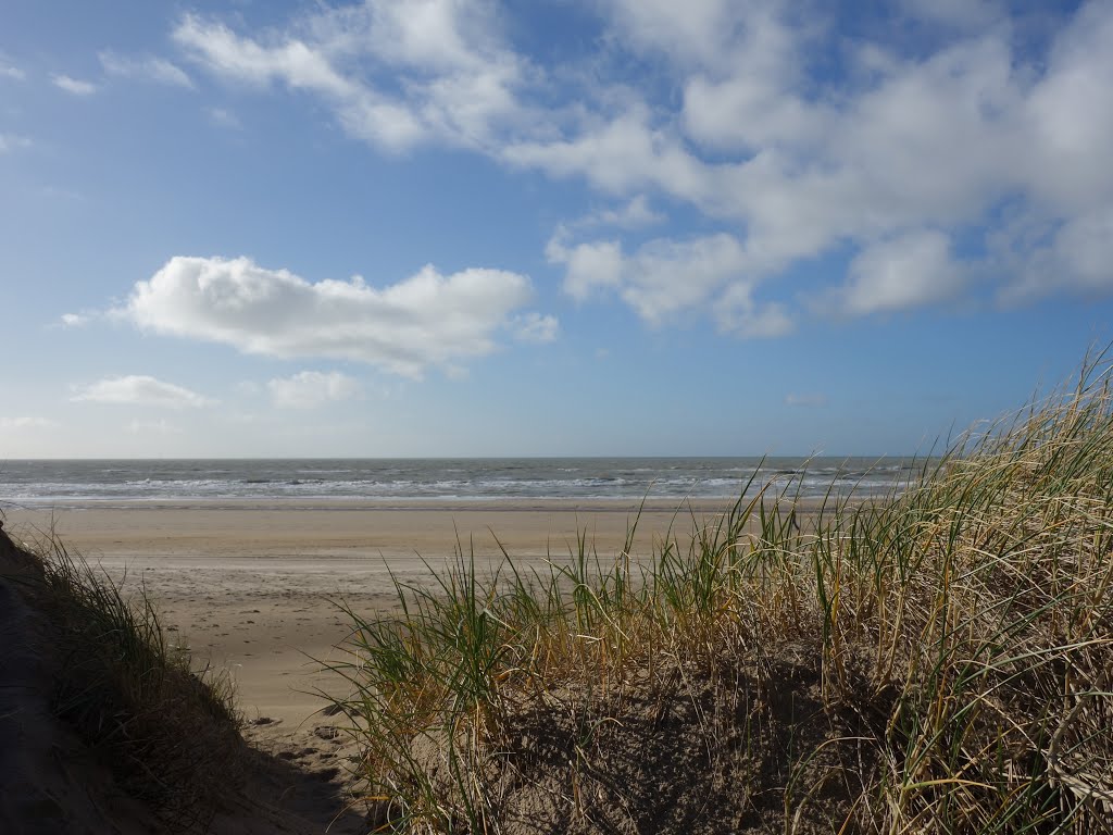 Duinen @ Bergen aan Zee by XanderBW