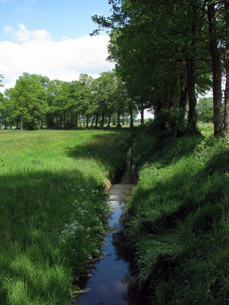 Kleine Donau auf dem Weg zur Wümme by tweety3d