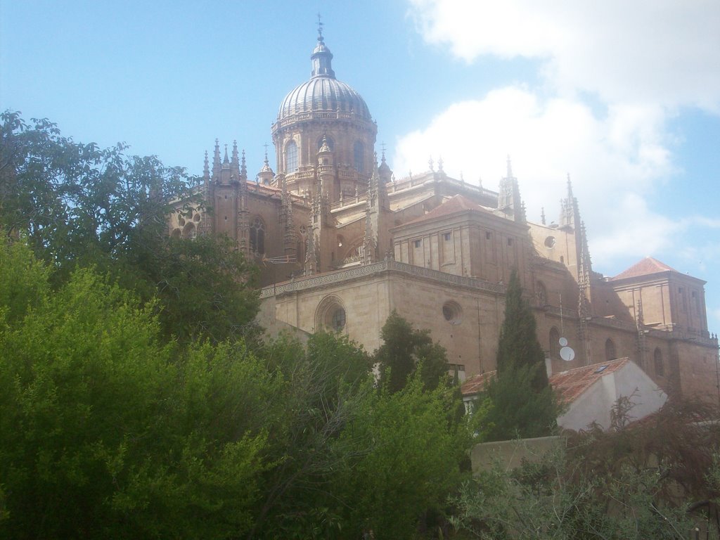 Salamanca, Spain by Damian Cuenca Abela