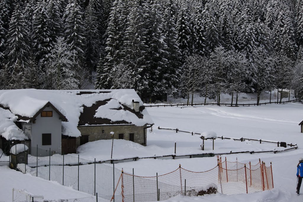 Malga Laghetto by ©Giampietro Fioraso