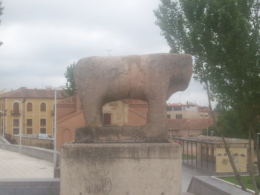 Toro del Lazarillo by Damian Cuenca Abela