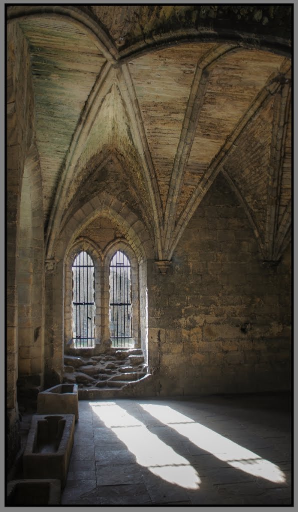 **..The 'Chapter house'.... Kirkstall Abbey..** by David.G.Johnson.