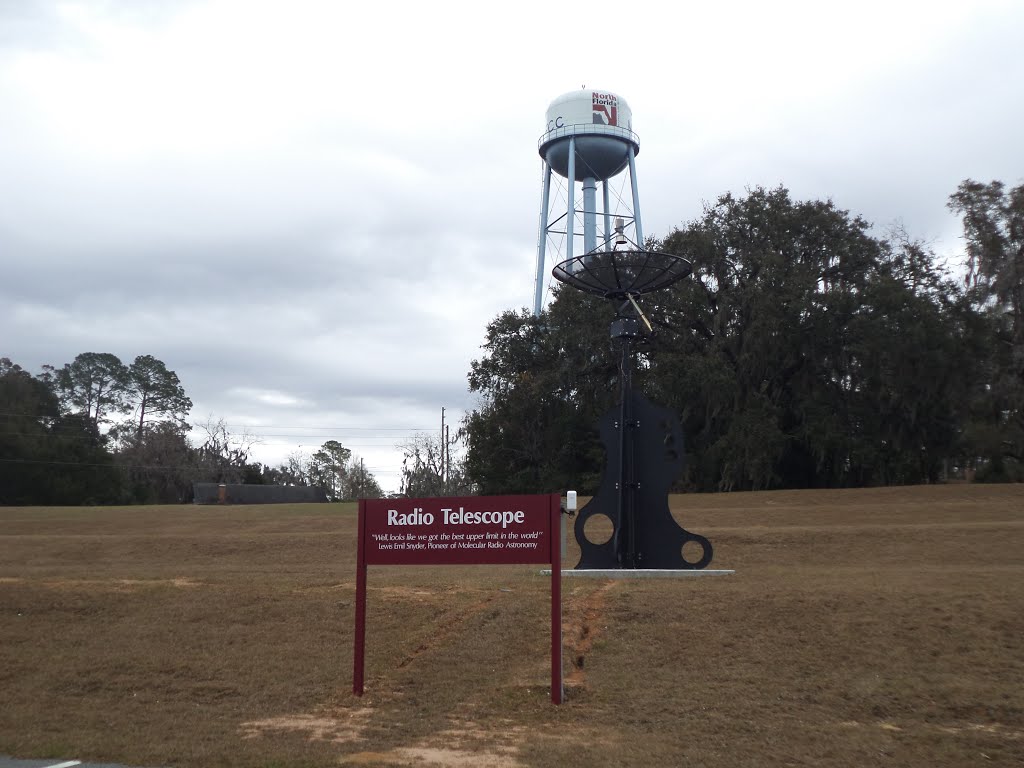 North Florida Community College Radio Telescope by mriveraz