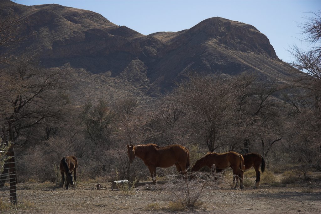 Namibia by 2007Namibia