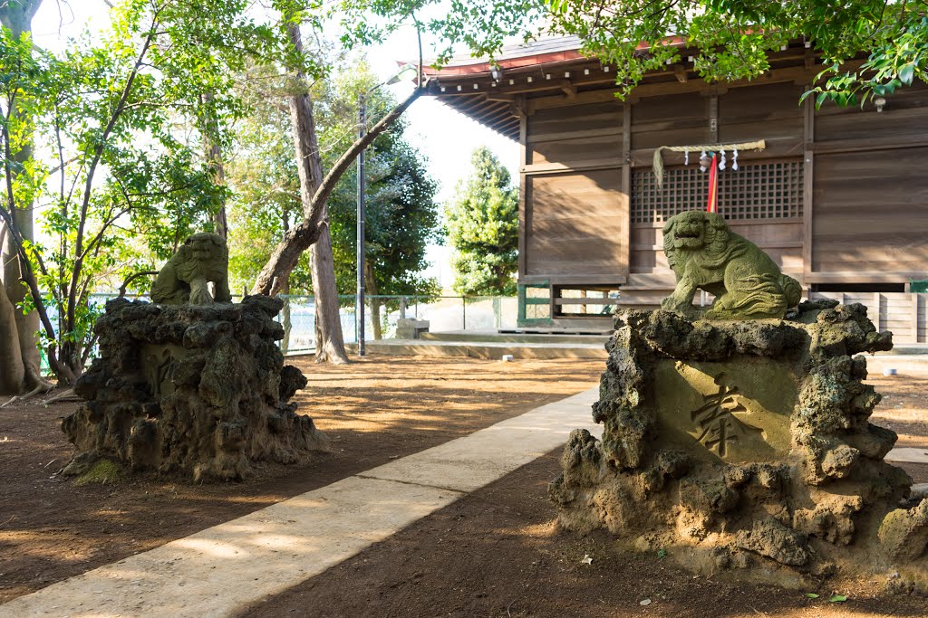 正八幡神社 -Shō Hachiman Shrine- by Saruman8000