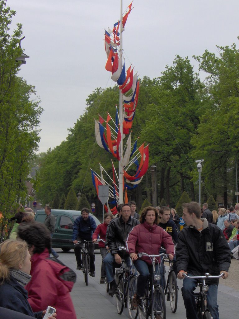 The flags are flying in Zeist by Mook Smith