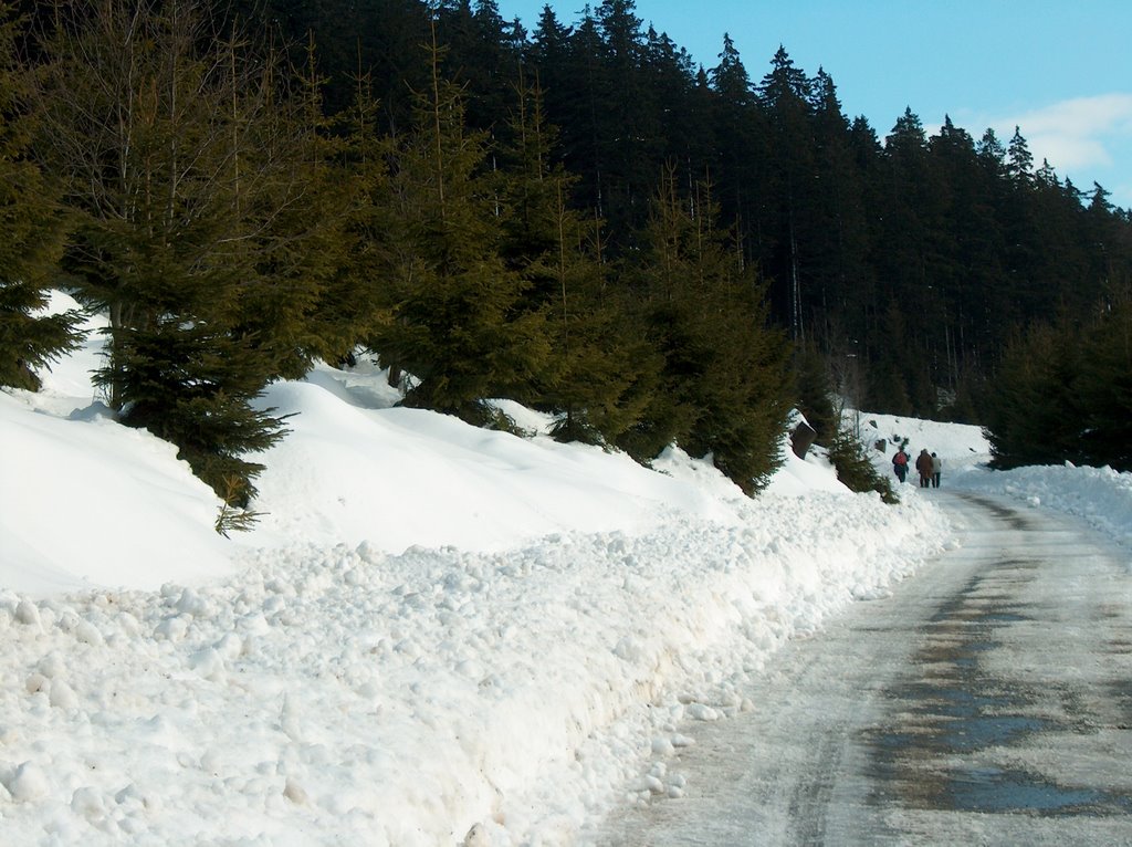 Braunlage, Germany by Ivan Moerman