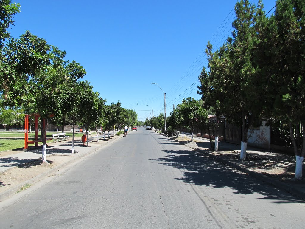 Calle principal rumbo al centro by loboaustral