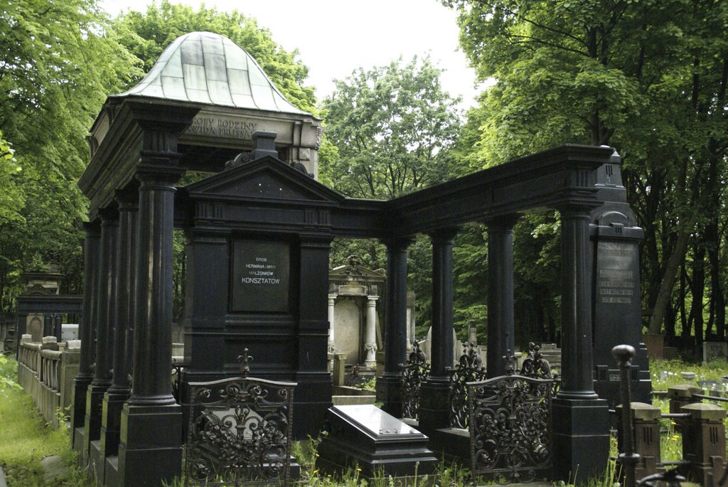 Łódź-the biggest Jewish cemetery in Europe-gb-3 by millotaurus