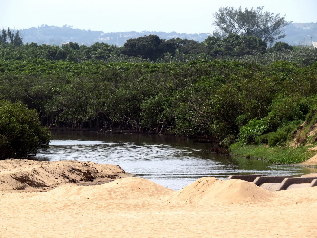 The mangroves Isipingo Beach. by James Houston-Mcmillan