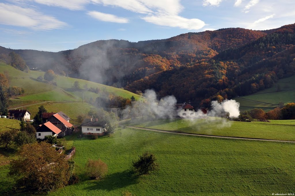 Schwarzwälder Herbstarbeiten - Okt.2013 by sebonline