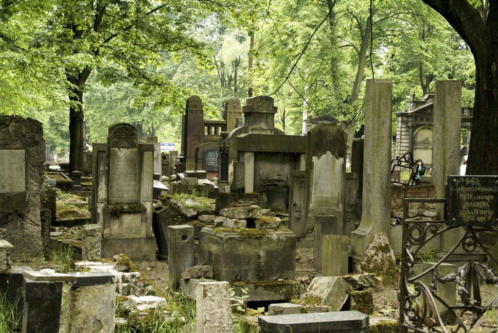 Łódź-the biggest Jewish cemetery in Europe-gb-17 by millotaurus