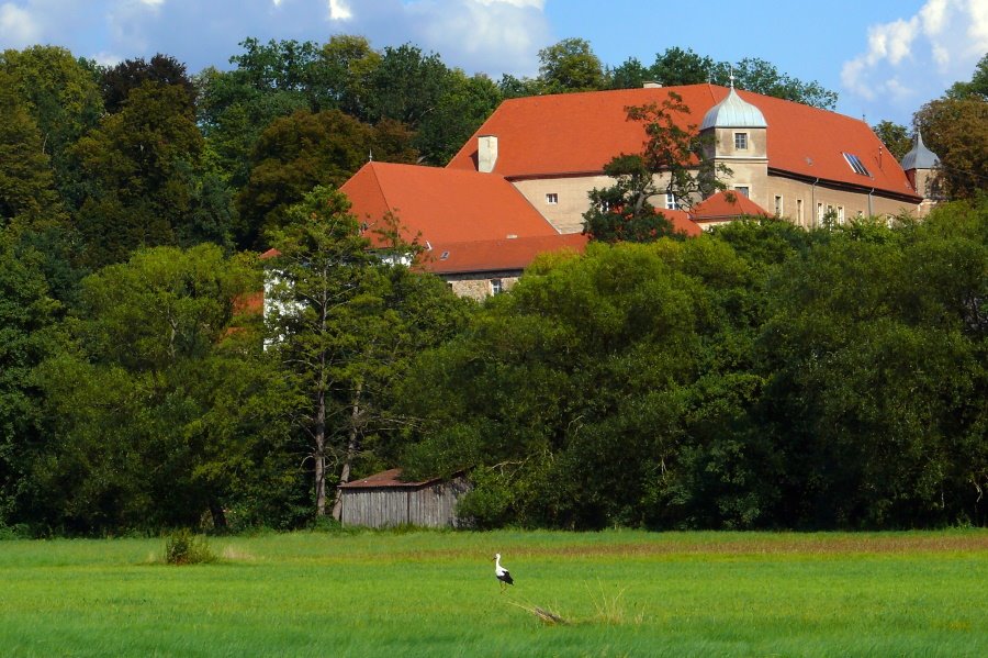 Schloss Fronberg by @schaffer.alfred