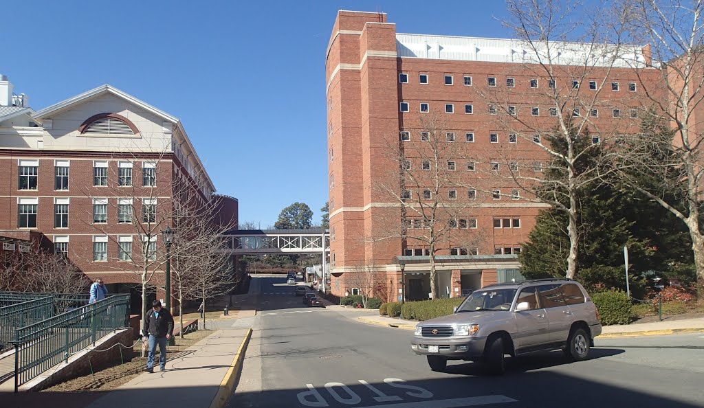 Jordan Hall and the MR-5 building, University of Virginia by Marek PG