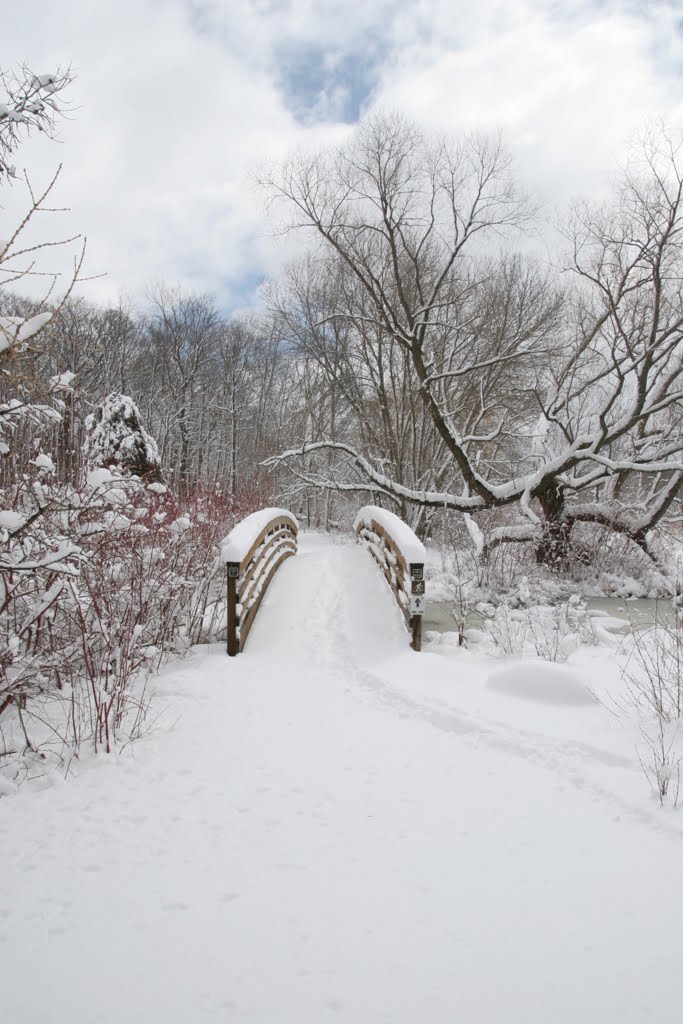 Bridge @ the Minnesota Landscape Arboretum by Carl Lacey