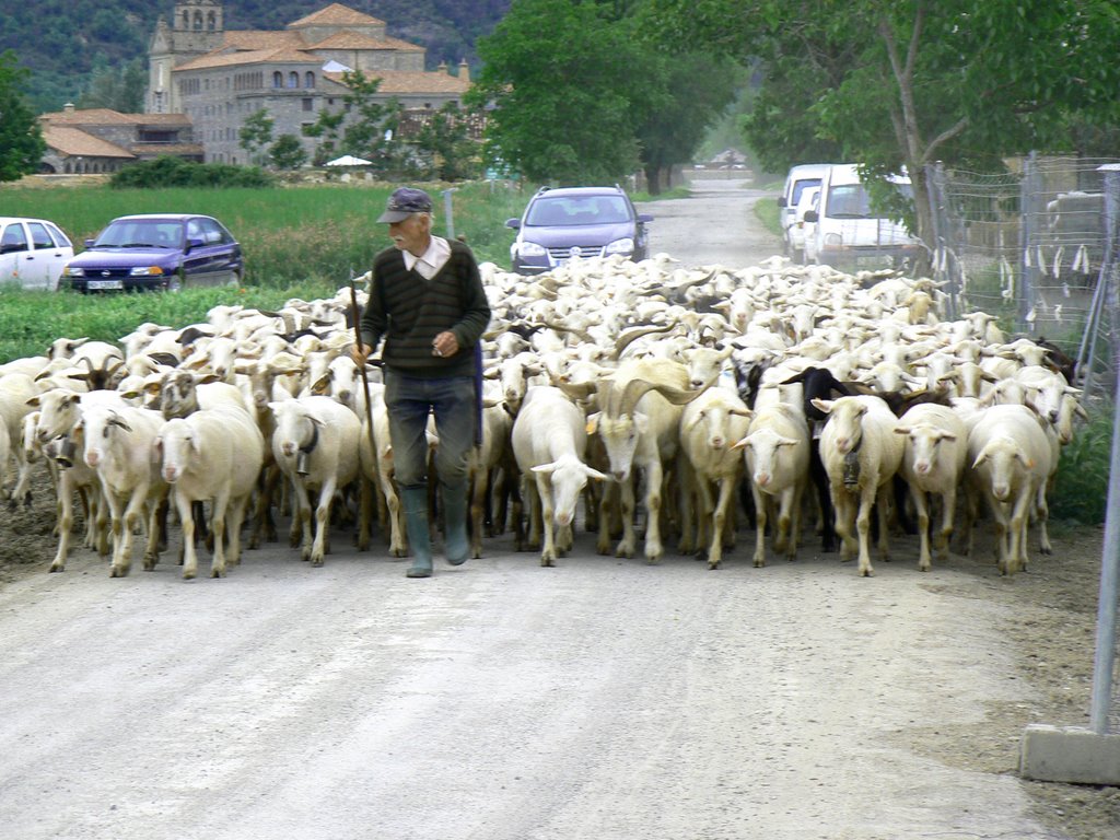 Como en los Viejos Tiempos. Boltaña, España by luisde