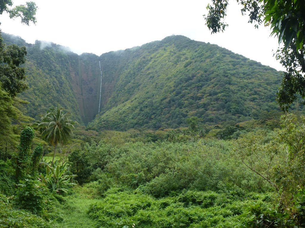 Waipio Valley Waterfall, Honoka'a, Hawaii by SusiMoon