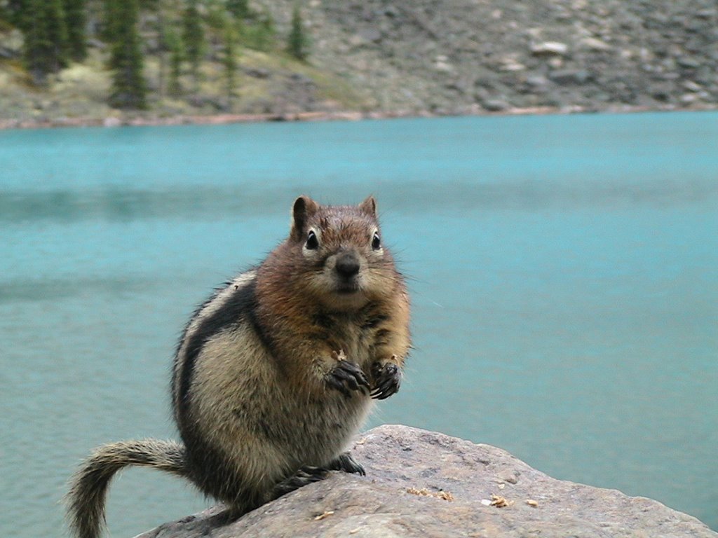 Lake Moraine by rob by