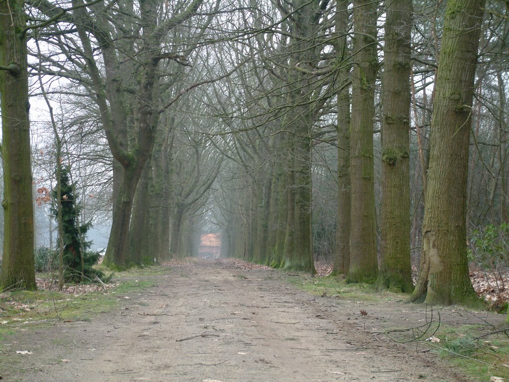 België, Meerhout, Lemmenshoefstraat by Dick Korevaar