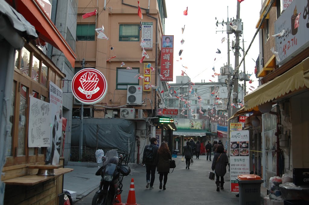 Sejong Village Food Street 세종마을 음식문화거리 by plumgarden