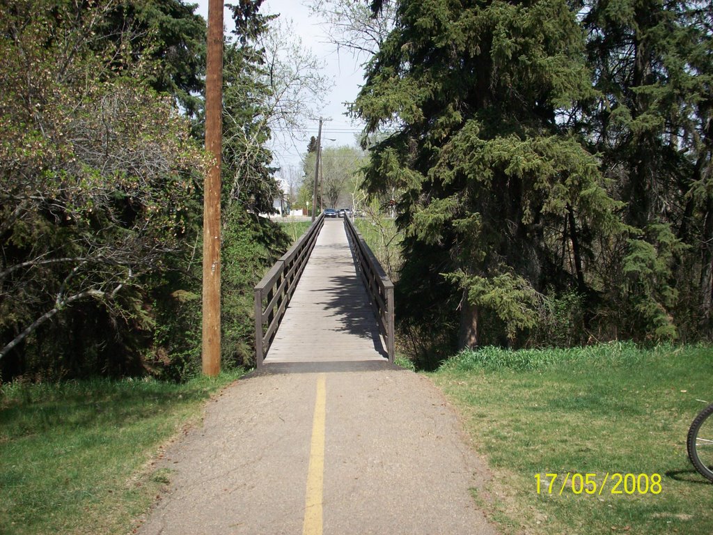 Bridge Over MacKinnon Ravine by mdmayes