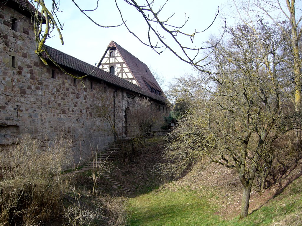 Burg Hoheneck by Mauerschwalbe