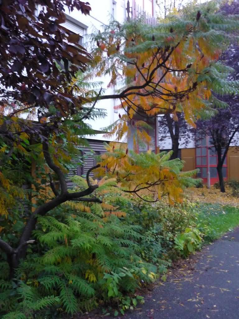 Autumn between block houses 4 by jeger_r