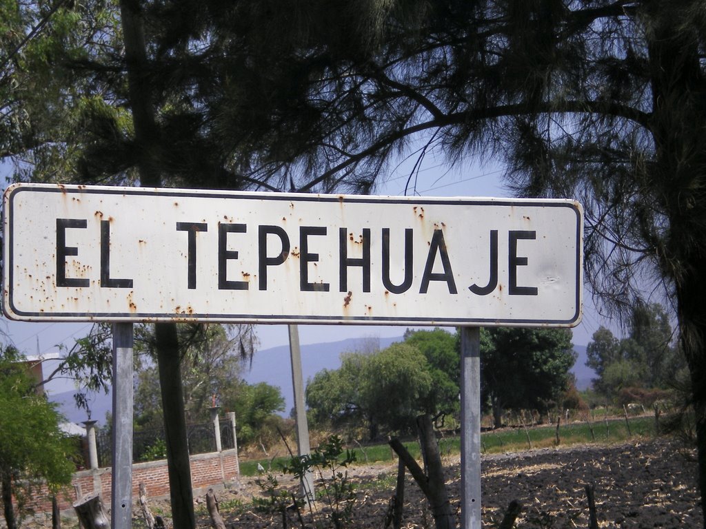 El Tepehuaje by lucyMN